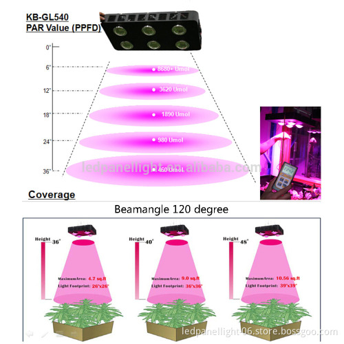 Spider 6 COB LED grow light 540W compare with HID power bloom plus mimics the noon day sun
